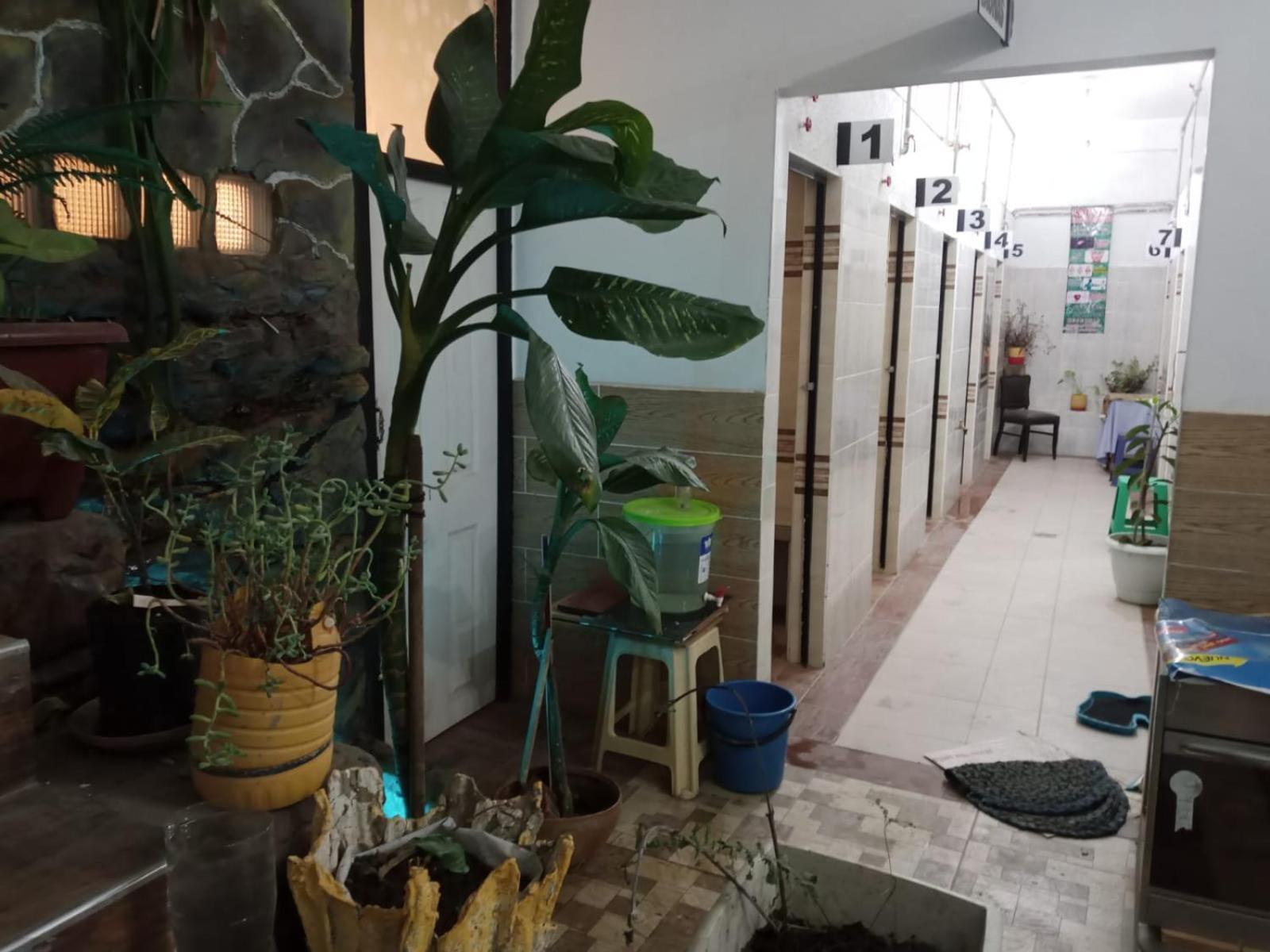 Hostel Casa Qura Qura Cochabamba Exteriér fotografie